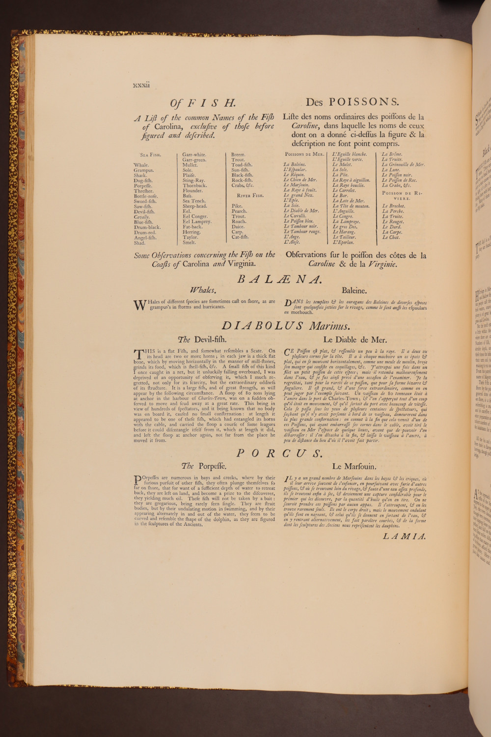 Page xxxii
